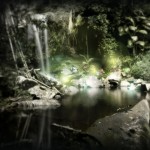 Desktopography - Enchanted forest